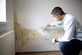 Biohazard Mold Removal in Jourdanton, TX